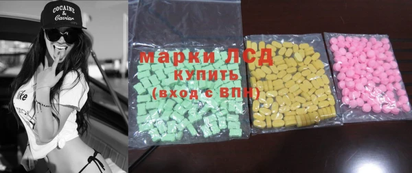 индика Верея