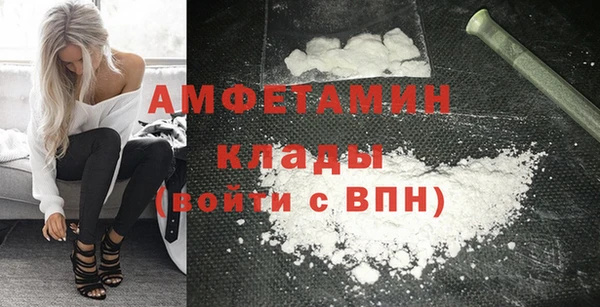 индика Верея
