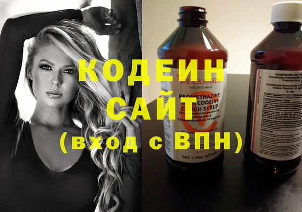 индика Верея