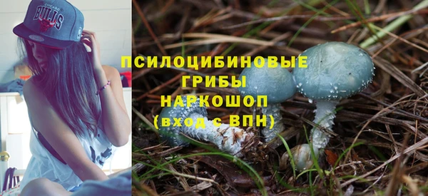 круглые Осинники