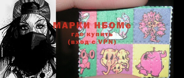 индика Верея
