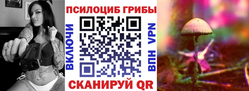 Псилоцибиновые грибы GOLDEN TEACHER  Купить где  Чудово 